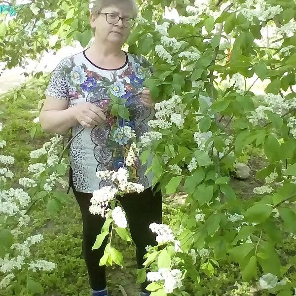 Лилия